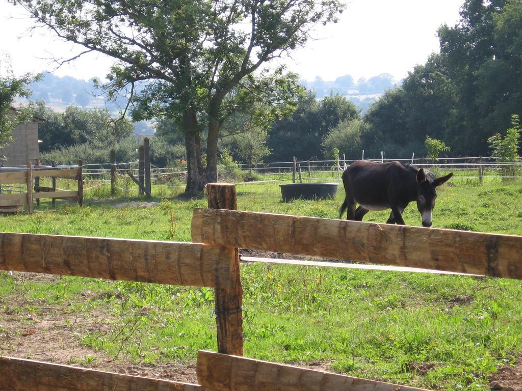 Domaine Du Breuil Bed & Breakfast Chassignolles Exterior photo